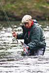 Fluefisker fisker harr i et av Glommas sideløp på Kvennan Fly Fishing.