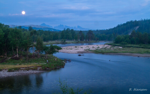 Fishing licenses in river Grimsa available today