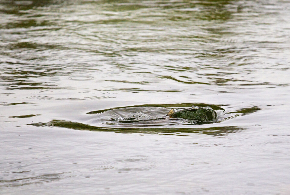 And we're open for business ...