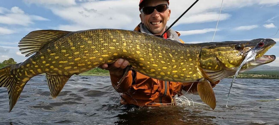Explosive and varied fishing in Hodalen