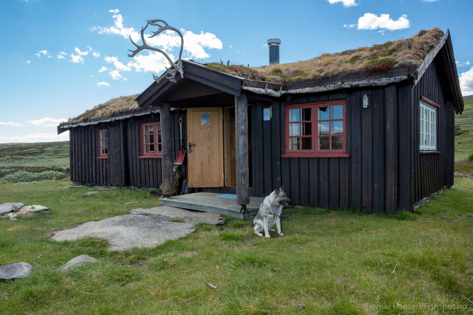 Photo: Bjørnar Hansen