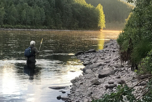 Tight with Fishspot week 25