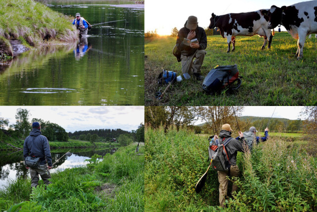 Licenses to fish the Vangrøfta river available for sale February 13th