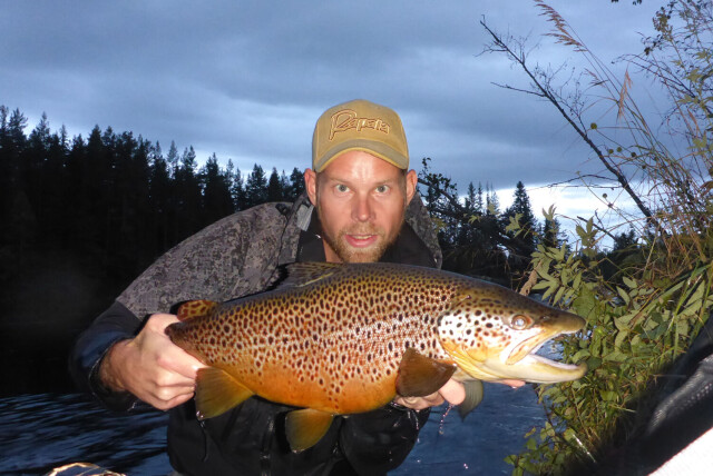 Autumn and big catches