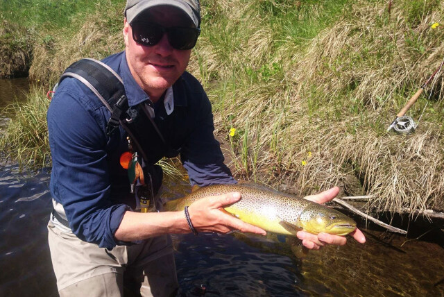 Ny rapport fra «Grøftoterne» og litt til…