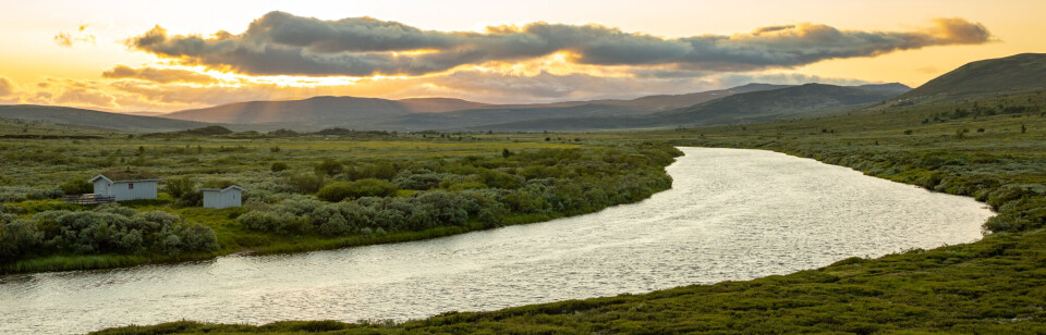 The sunset over Meløyfloen nature resurve and Einunna . Be aware that in this area it is not allowed to camp or set up a tent.
