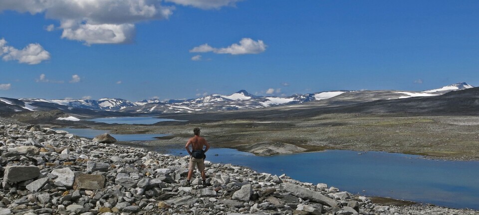 Fishing on Skjåk Public Lands
