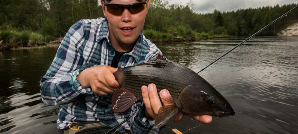 Rena River Fly Fishing