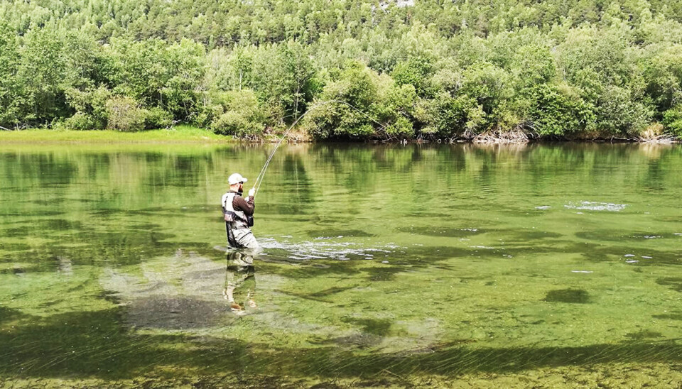 You don’t need to go any farther than to Sel in Gudbrandsdalen to experience rivers as clear as those in New Zealand.