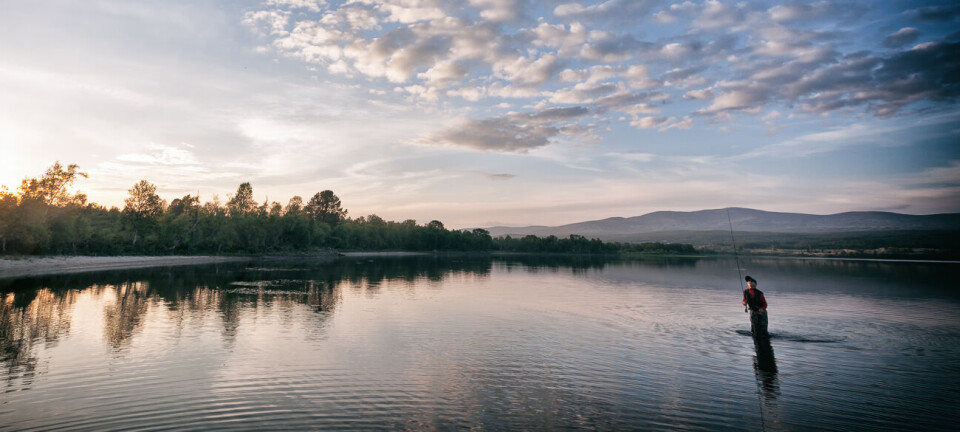 The Hodalen Lakes and Drengen Fly Fishing Zone
