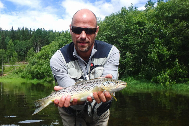 Report from Stor-Elvdal and Koppang Camping