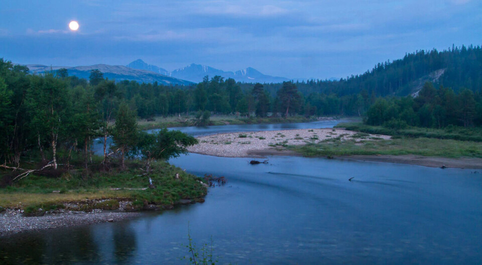 Grimsa has some of the most beautiful surroundings of all the rivers we know.
