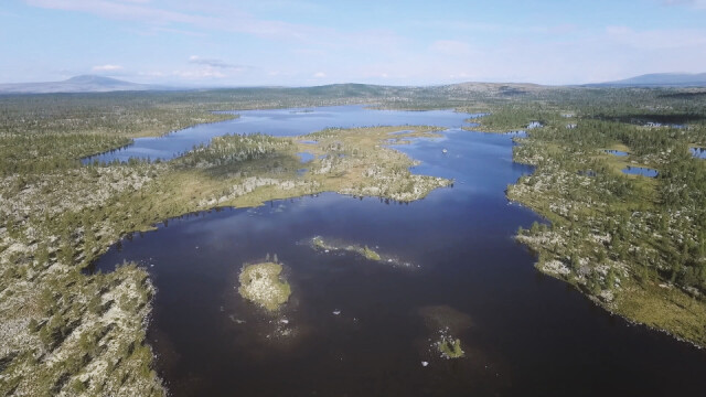 Film from Femundsmarka National Park