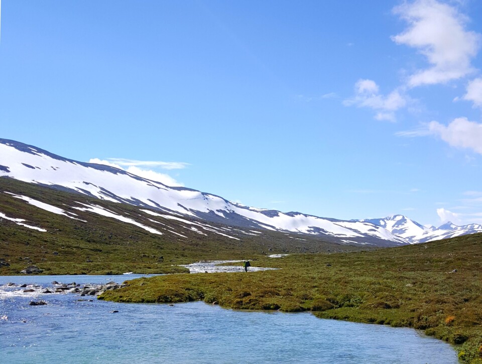Tundradalen and the river Tundre is a great spot for those wanting to find good fishing at high elevation. Photo: Anders Dahl Eriksen