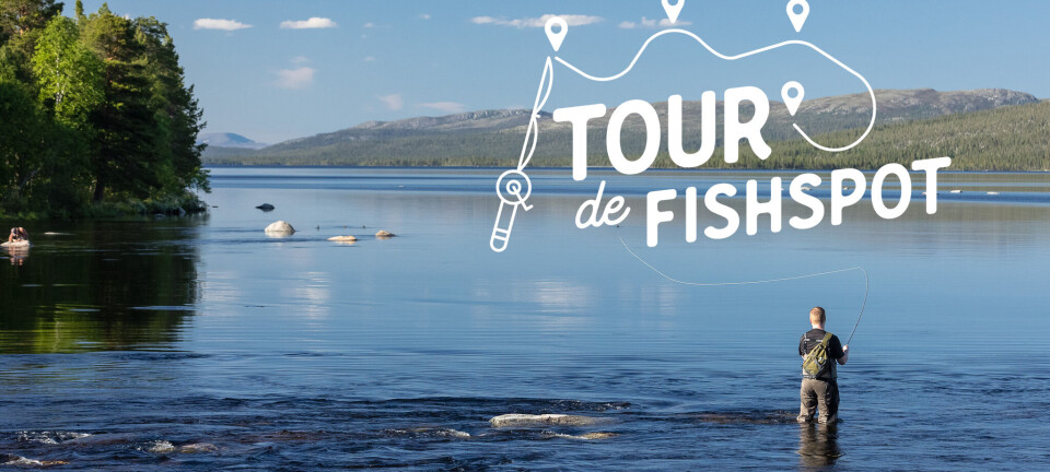 Stage 10 – Intense dry fly action in Isterfossen