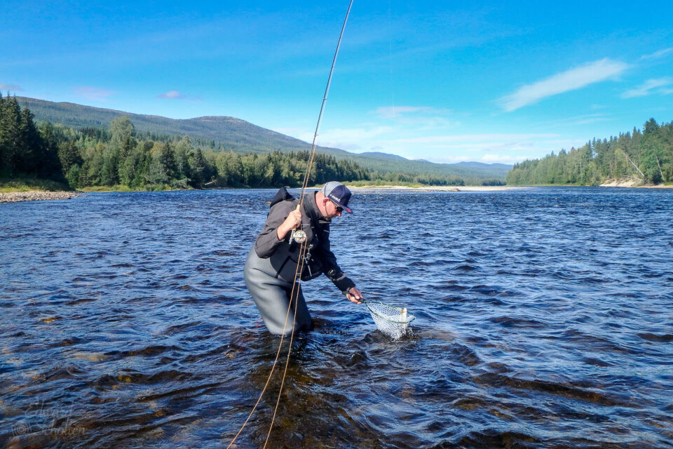 Anglers from all over the world come to Koppang to experience the Glomma.