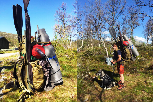 Hiking in the Femundsmarka national park