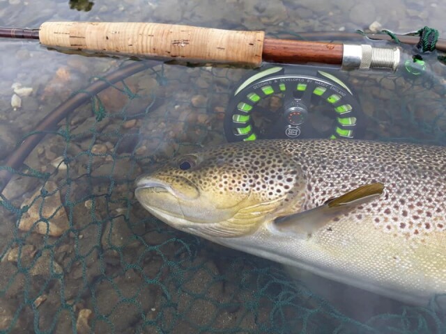 Tight with Fishspot – Week 26