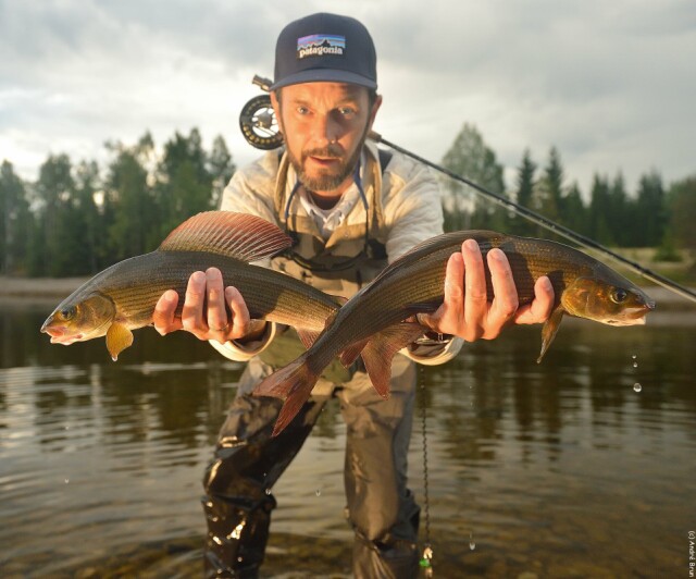 Tight with Fishspot week 28