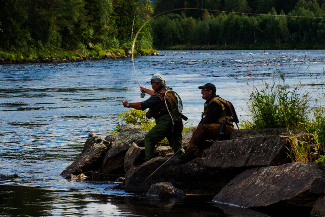 Week 27 now available at Vestsjøberget Fly Fishing