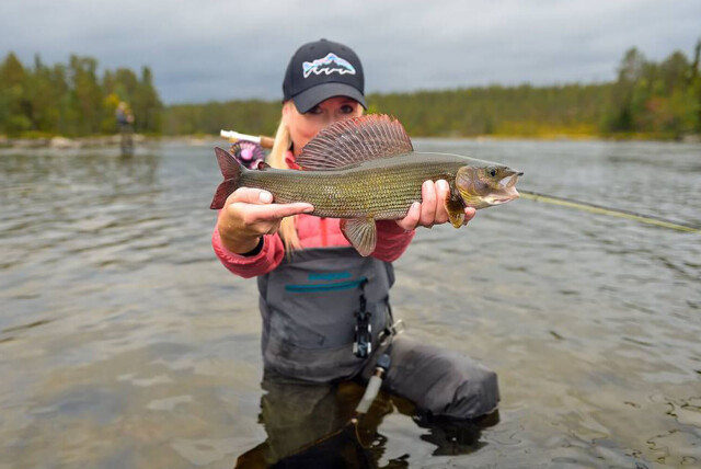Tight with Fishspot week 37