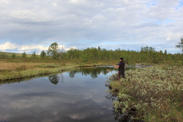 The diverse Gausdal fishing area