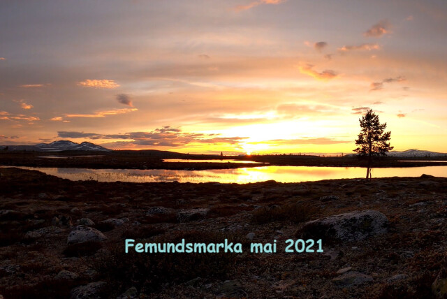 Striking out in Femundsmarka
