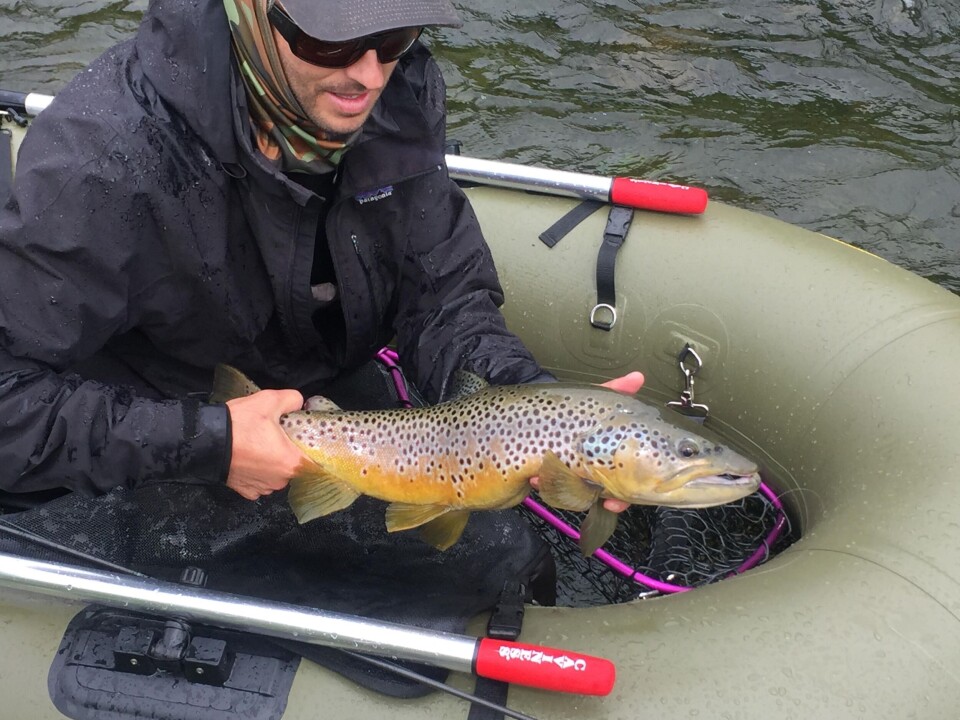 Late season on Tokkeåi