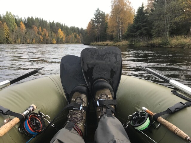 A Different Angle on The Rena