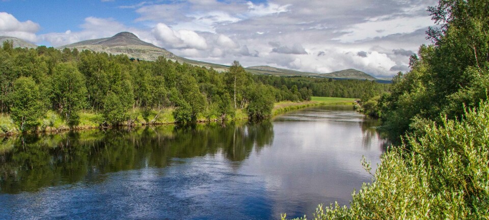 Hola Fly Fishing zone