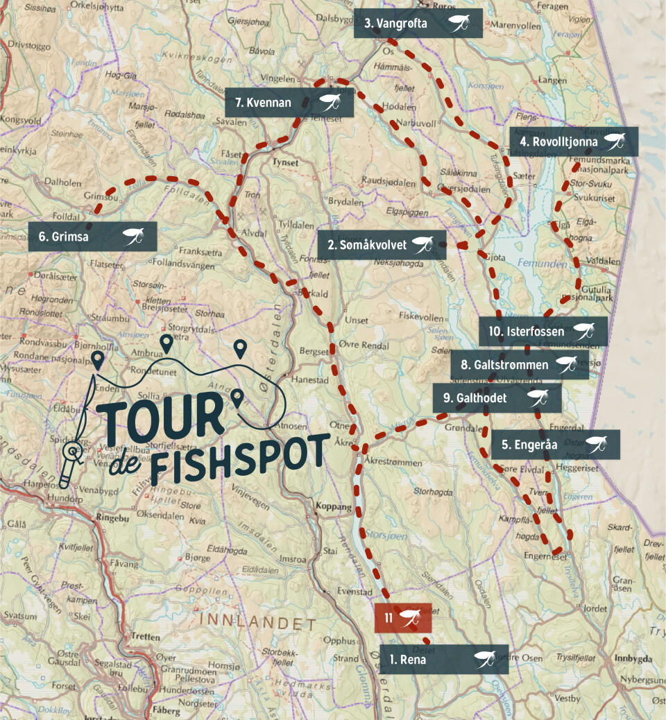 will you go on tour this summer?