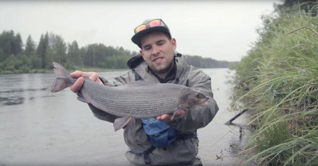 The rena river and its governing (film)