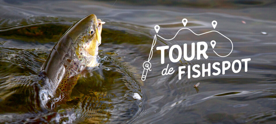 Stage 3 – Vangrøfta, the jewel of Dalsbygda