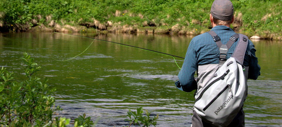 Fly Fishing in the Heat – 5 Tips for Summer Success