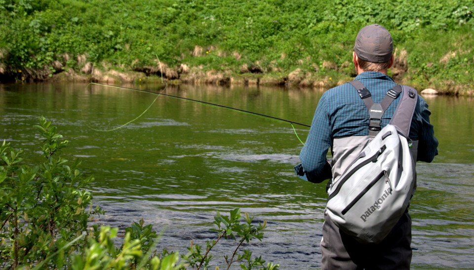 As temperatures rise and water levels drop these tips will get you through the summer doldrums,.