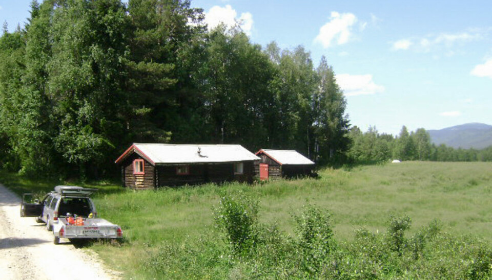Birkeneset and Langlete cabins
