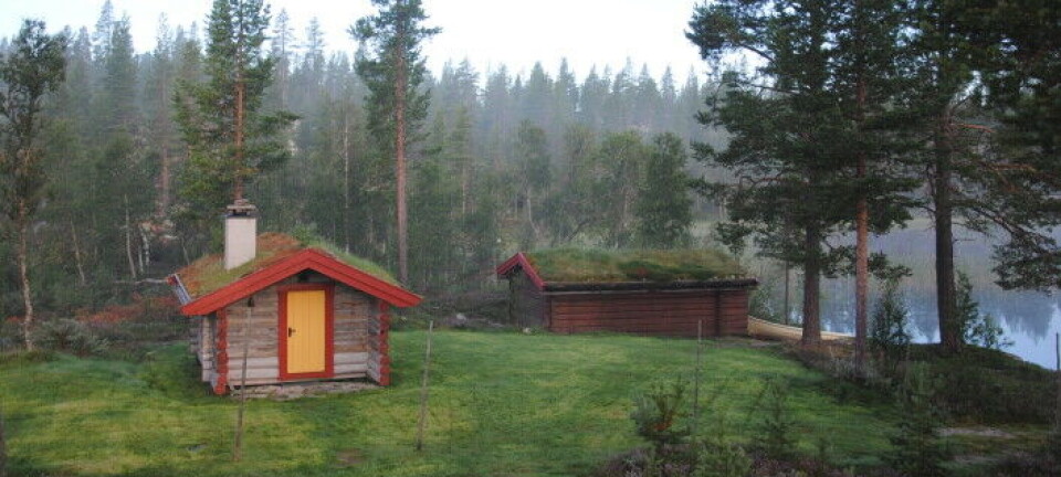 Aursjøene - exclusive trout lakes